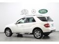 Alabaster White - ML 350 4Matic Photo No. 5