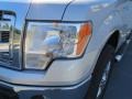 2013 Ingot Silver Metallic Ford F150 XLT SuperCrew 4x4  photo #8