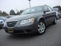 Willow Gray - Sonata GLS Photo No. 1