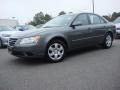 Willow Gray - Sonata GLS Photo No. 2