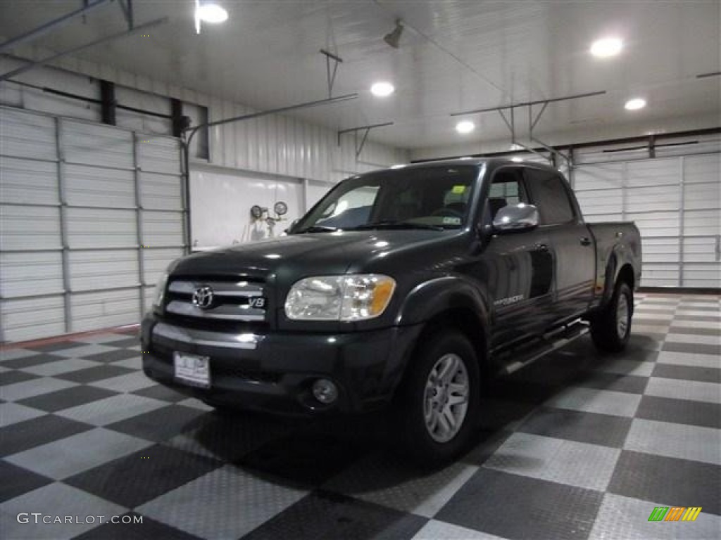 2005 Tundra SR5 Double Cab - Timberland Green Mica / Taupe photo #3