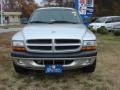 Bright Silver Metallic - Dakota SLT Quad Cab Photo No. 9