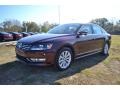 Opera Red Metallic - Passat 2.5L SEL Photo No. 1