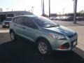 2013 Frosted Glass Metallic Ford Escape S  photo #14