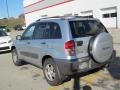 Titanium Metallic - RAV4 4WD Photo No. 3