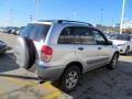 Titanium Metallic - RAV4 4WD Photo No. 5
