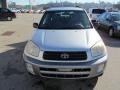 Titanium Metallic - RAV4 4WD Photo No. 8
