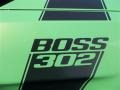 2013 Gotta Have It Green Ford Mustang Boss 302  photo #11