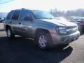 2003 Silver Green Metallic Chevrolet TrailBlazer LS 4x4  photo #3