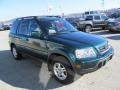 2001 Clover Green Pearl Honda CR-V Special Edition 4WD  photo #10