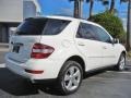Arctic White - ML 350 4Matic Photo No. 7