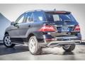Black - ML 350 4Matic Photo No. 3