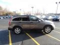 2010 Urban Titanium Metallic Honda CR-V EX AWD  photo #4
