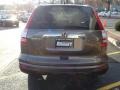 2010 Urban Titanium Metallic Honda CR-V EX AWD  photo #6