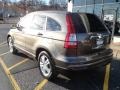 2010 Urban Titanium Metallic Honda CR-V EX AWD  photo #7