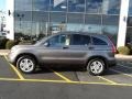 2010 Urban Titanium Metallic Honda CR-V EX AWD  photo #8