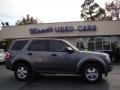 2009 Sterling Grey Metallic Ford Escape XLS  photo #1
