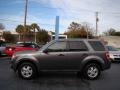 2009 Sterling Grey Metallic Ford Escape XLS  photo #5