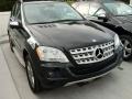 Black - ML 350 Photo No. 1