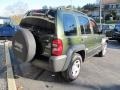 2006 Jeep Green Metallic Jeep Liberty Sport 4x4  photo #6