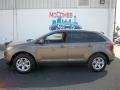 2013 Mineral Gray Metallic Ford Edge SEL AWD  photo #8