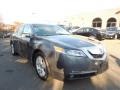 2010 Polished Metal Metallic Acura TL 3.5  photo #33