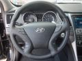 2013 Midnight Black Hyundai Sonata Limited 2.0T  photo #14