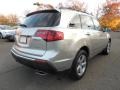 2010 Palladium Metallic Acura MDX   photo #24