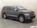 2010 Silver Graphite Infiniti QX 56  photo #3