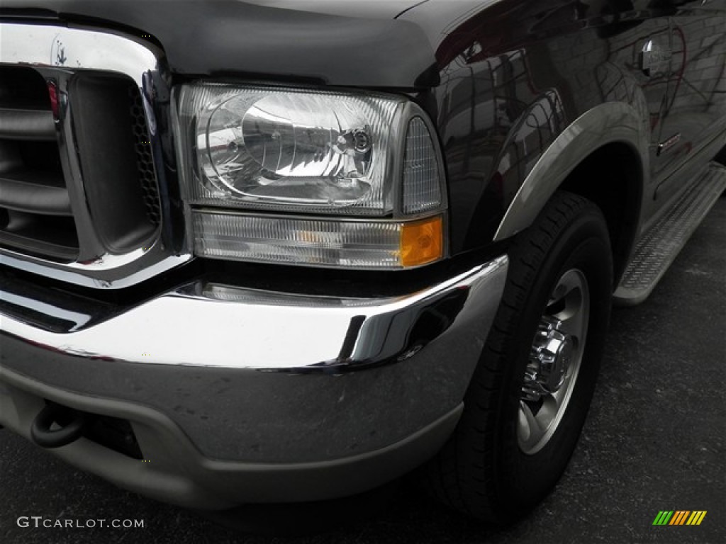 2004 F350 Super Duty King Ranch Crew Cab - Chestnut Brown Metallic / Castano Brown Leather photo #7