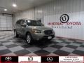 2007 Natural Khaki Green Hyundai Santa Fe Limited  photo #1