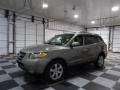 2007 Natural Khaki Green Hyundai Santa Fe Limited  photo #4