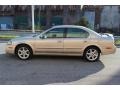 Sunlit Sand Metallic - Maxima SE Photo No. 15