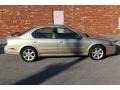 Sunlit Sand Metallic - Maxima SE Photo No. 17