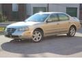 Sunlit Sand Metallic - Maxima SE Photo No. 18