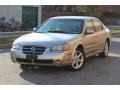 Sunlit Sand Metallic - Maxima SE Photo No. 19