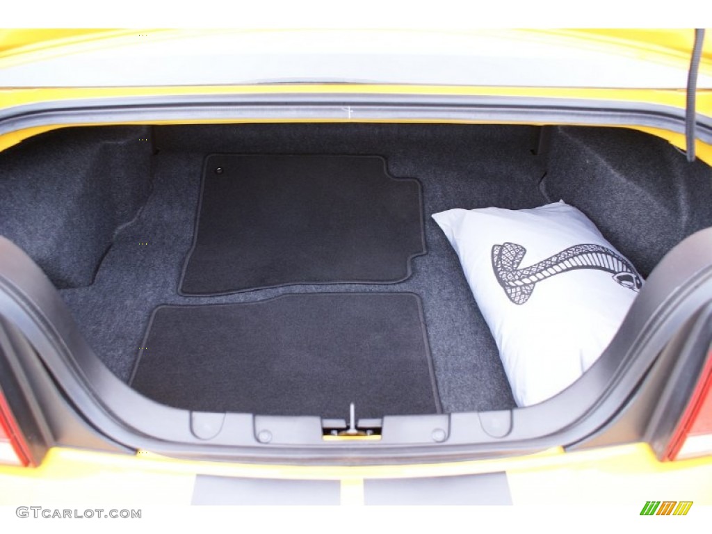 2009 Ford Mustang GT Premium Coupe Trunk Photo #73889252
