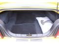 Dark Charcoal Trunk Photo for 2009 Ford Mustang #73889252