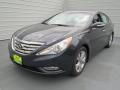 2013 Pacific Blue Pearl Hyundai Sonata Limited  photo #6