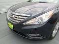 2013 Pacific Blue Pearl Hyundai Sonata Limited  photo #9