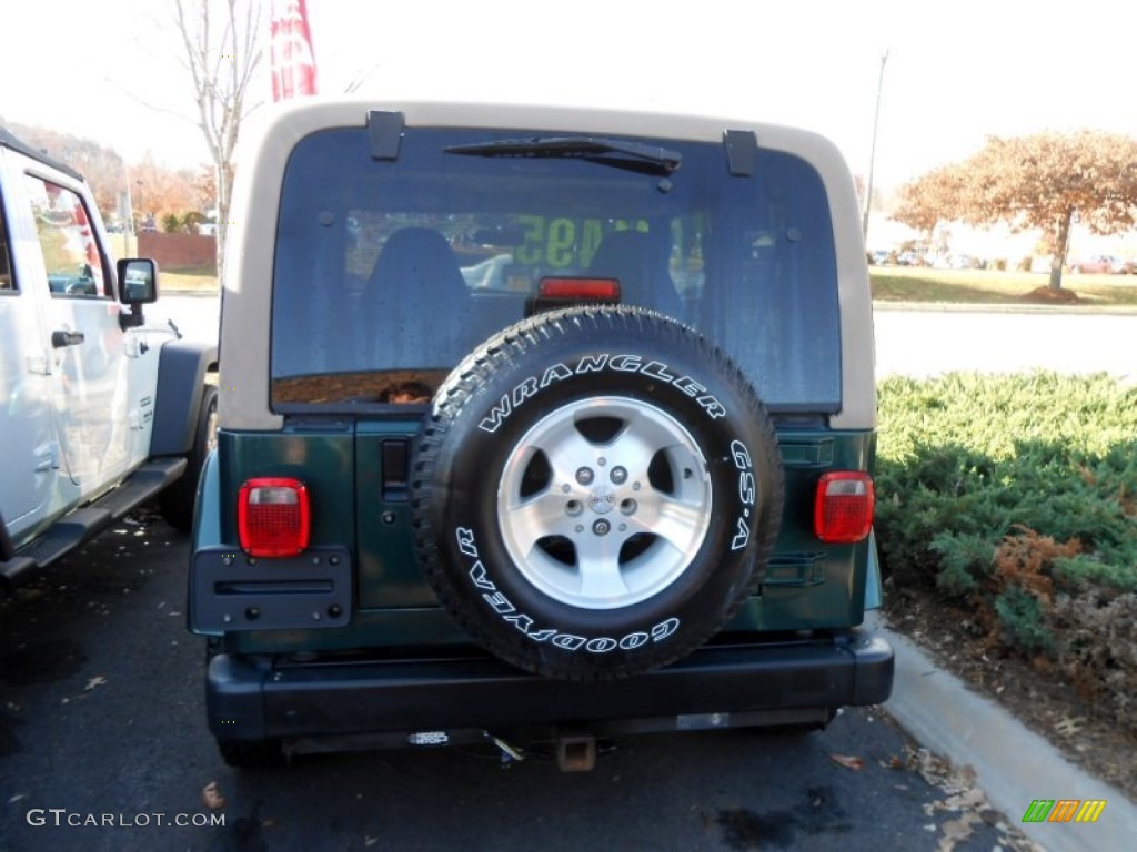 2000 Wrangler Sahara 4x4 - Forest Green Pearl / Camel/Dark Green photo #4