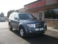 Steel Blue Metallic - Escape Limited 4WD Photo No. 4