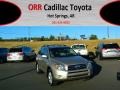 Savannah Metallic 2007 Toyota RAV4 Limited