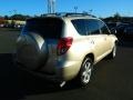 2007 Savannah Metallic Toyota RAV4 Limited  photo #3