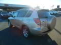 2007 Savannah Metallic Toyota RAV4 Limited  photo #5