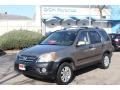 Sahara Sand Metallic - CR-V EX 4WD Photo No. 1
