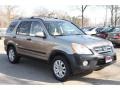 Sahara Sand Metallic - CR-V EX 4WD Photo No. 3