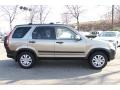Sahara Sand Metallic - CR-V EX 4WD Photo No. 4