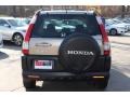 Sahara Sand Metallic - CR-V EX 4WD Photo No. 6