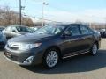 Magnetic Gray Metallic - Camry XLE Photo No. 3